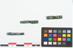 Foto von Bronzebandring (NHMW-PRAE-025319)